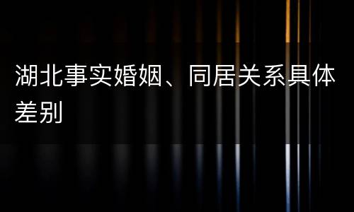 湖北事实婚姻、同居关系具体差别
