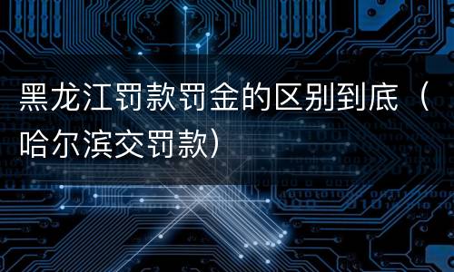 黑龙江罚款罚金的区别到底（哈尔滨交罚款）