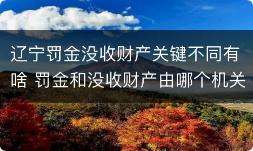 辽宁罚金没收财产关键不同有啥 罚金和没收财产由哪个机关执行