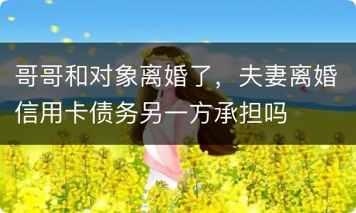 哥哥和对象离婚了，夫妻离婚信用卡债务另一方承担吗