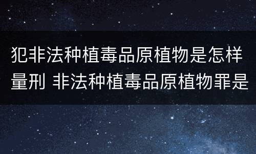 犯非法种植毒品原植物是怎样量刑 非法种植毒品原植物罪是什么犯罪类型