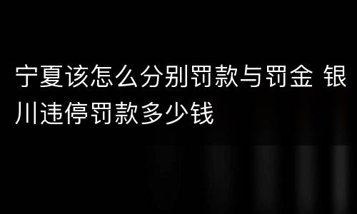 宁夏该怎么分别罚款与罚金 银川违停罚款多少钱