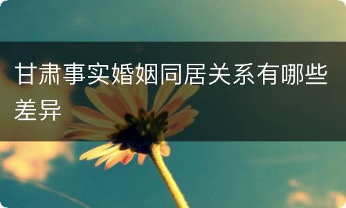甘肃事实婚姻同居关系有哪些差异