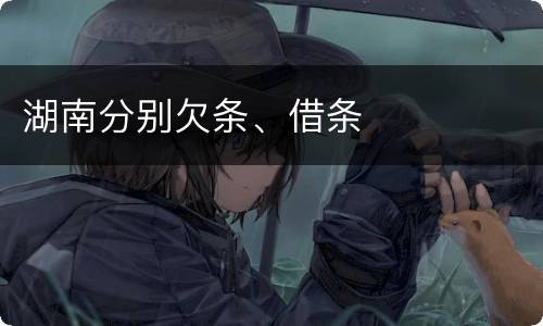 湖南分别欠条、借条