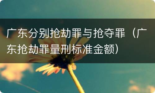 广东分别抢劫罪与抢夺罪（广东抢劫罪量刑标准金额）