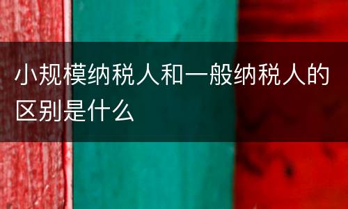 小规模纳税人和一般纳税人的区别是什么