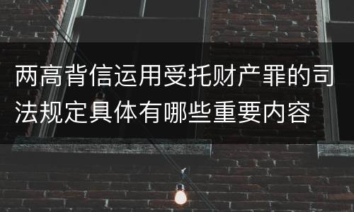 两高背信运用受托财产罪的司法规定具体有哪些重要内容