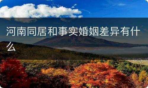 河南同居和事实婚姻差异有什么