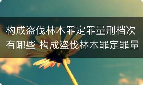 构成盗伐林木罪定罪量刑档次有哪些 构成盗伐林木罪定罪量刑档次有哪些规定