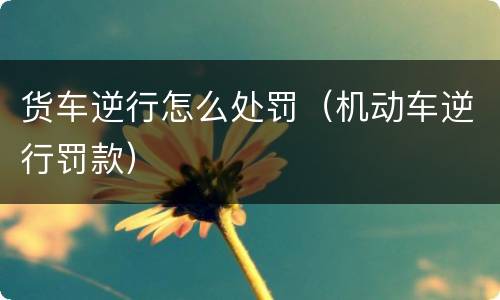 货车逆行怎么处罚（机动车逆行罚款）