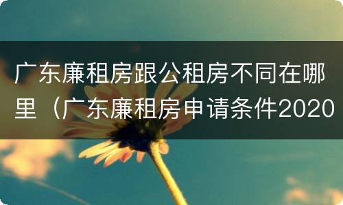 广东廉租房跟公租房不同在哪里（广东廉租房申请条件2020）
