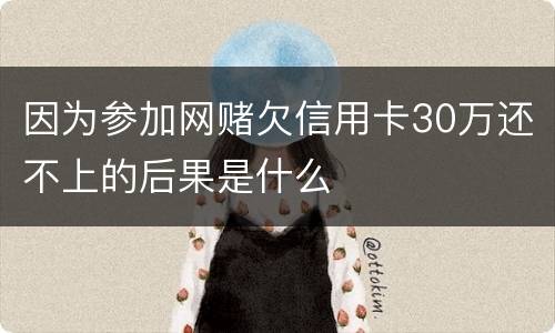 因为参加网赌欠信用卡30万还不上的后果是什么