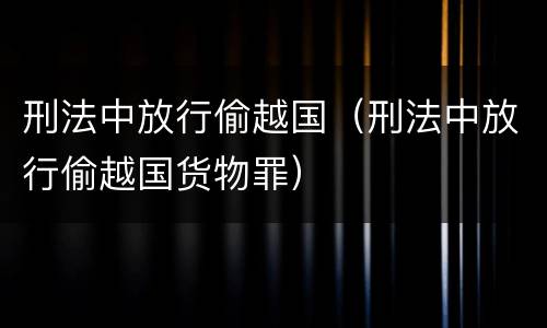 刑法中放行偷越国（刑法中放行偷越国货物罪）