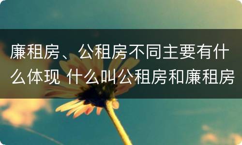 廉租房、公租房不同主要有什么体现 什么叫公租房和廉租房
