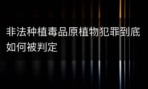 非法种植毒品原植物犯罪到底如何被判定