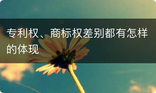 专利权、商标权差别都有怎样的体现