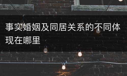 事实婚姻及同居关系的不同体现在哪里