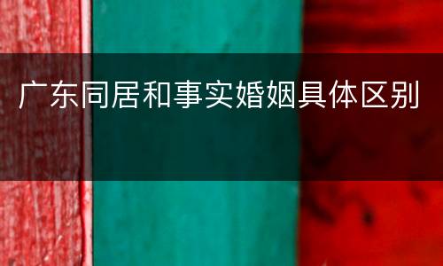 广东同居和事实婚姻具体区别