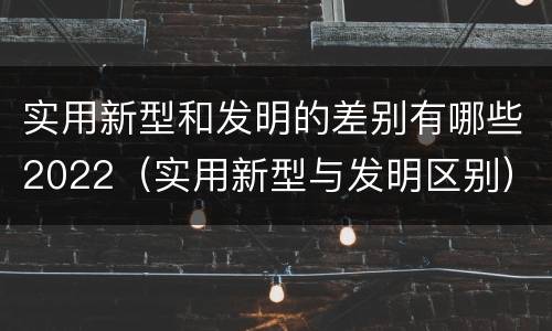 实用新型和发明的差别有哪些2022（实用新型与发明区别）