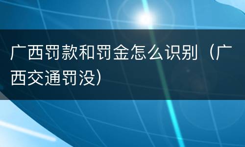 广西罚款和罚金怎么识别（广西交通罚没）