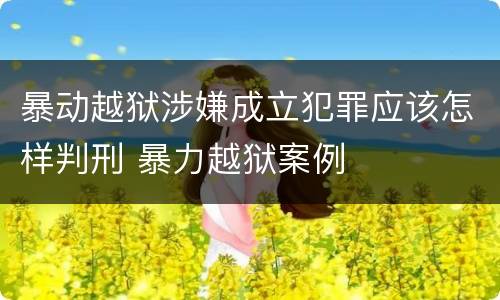 暴动越狱涉嫌成立犯罪应该怎样判刑 暴力越狱案例