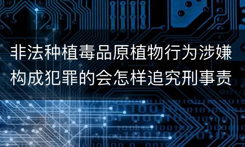 非法种植毒品原植物行为涉嫌构成犯罪的会怎样追究刑事责任