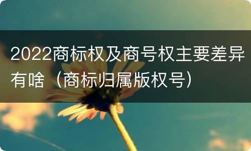 2022商标权及商号权主要差异有啥（商标归属版权号）