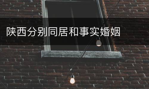 陕西分别同居和事实婚姻
