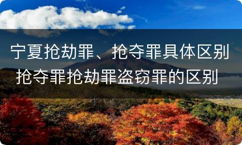 宁夏抢劫罪、抢夺罪具体区别 抢夺罪抢劫罪盗窃罪的区别