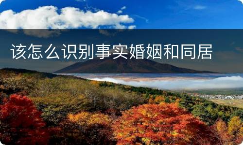 该怎么识别事实婚姻和同居