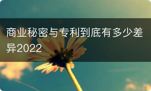 商业秘密与专利到底有多少差异2022