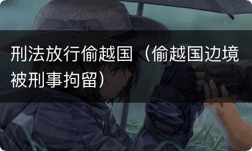 刑法放行偷越国（偷越国边境被刑事拘留）