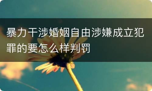 暴力干涉婚姻自由涉嫌成立犯罪的要怎么样判罚