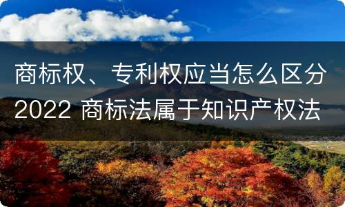 商标权、专利权应当怎么区分2022 商标法属于知识产权法