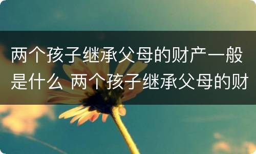 两个孩子继承父母的财产一般是什么 两个孩子继承父母的财产一般是什么性质