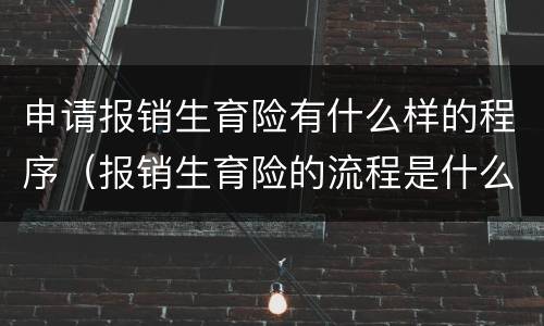 申请报销生育险有什么样的程序（报销生育险的流程是什么）
