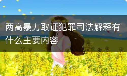 两高暴力取证犯罪司法解释有什么主要内容