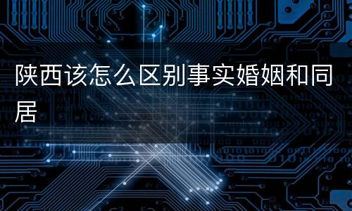 陕西该怎么区别事实婚姻和同居