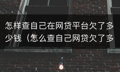 怎样查自己在网贷平台欠了多少钱（怎么查自己网贷欠了多少钱）