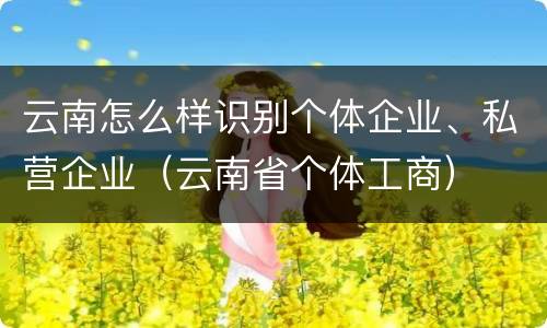 云南怎么样识别个体企业、私营企业（云南省个体工商）