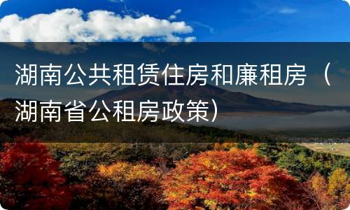 湖南公共租赁住房和廉租房（湖南省公租房政策）