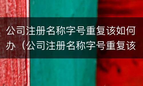 公司注册名称字号重复该如何办（公司注册名称字号重复该如何办理注销）