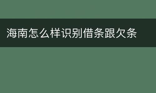 海南怎么样识别借条跟欠条