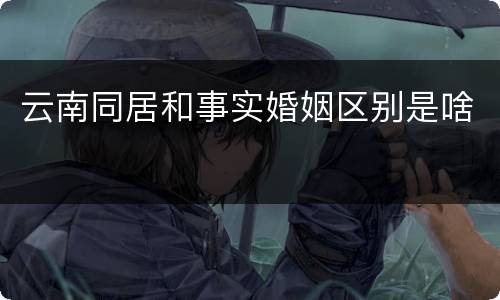 云南同居和事实婚姻区别是啥