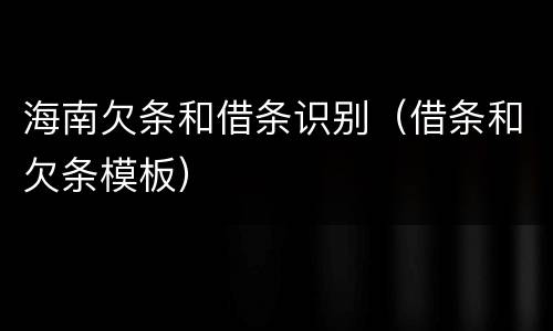 海南欠条和借条识别（借条和欠条模板）