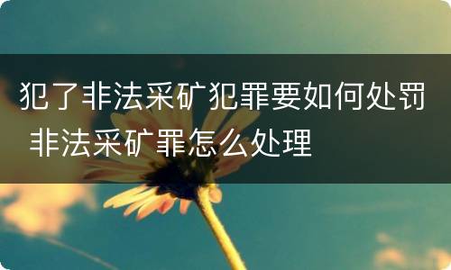 犯了非法采矿犯罪要如何处罚 非法采矿罪怎么处理