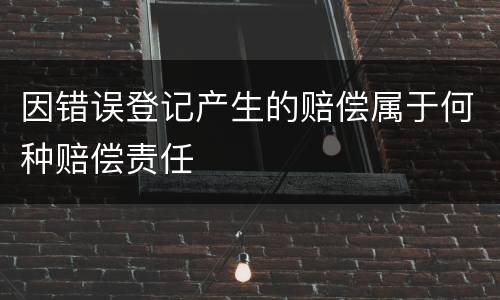 因错误登记产生的赔偿属于何种赔偿责任