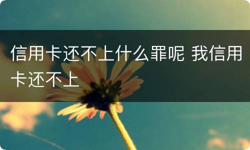 信用卡还不上什么罪呢 我信用卡还不上