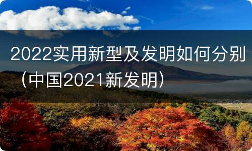 2022实用新型及发明如何分别（中国2021新发明）