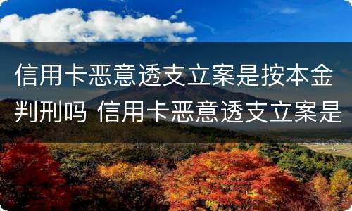 信用卡恶意透支立案是按本金判刑吗 信用卡恶意透支立案是按本金判刑吗
